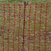 Orange Barrier Mesh 1x50m 4kg